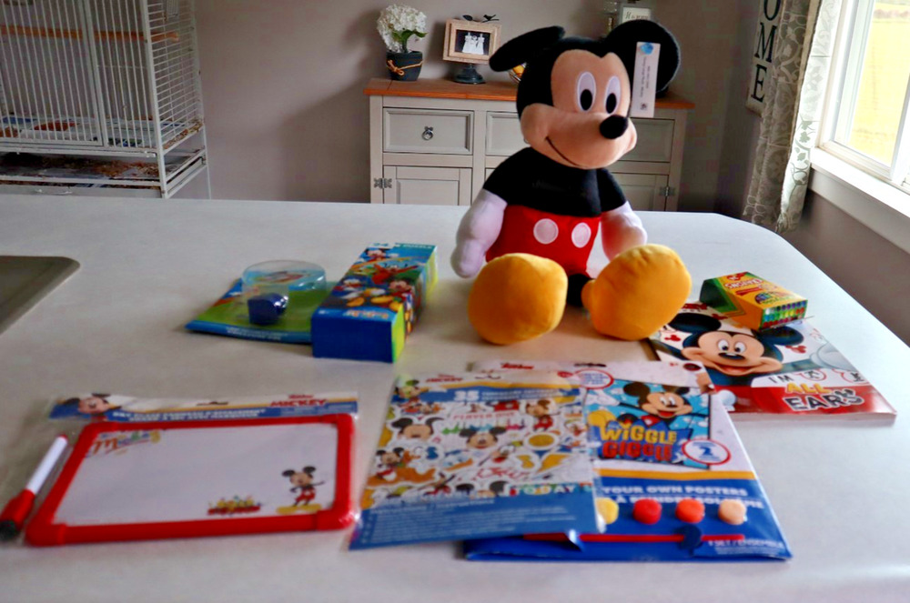 All New Disney - Mickey Minnie Plush And variety toys new in package, Lot of 8!